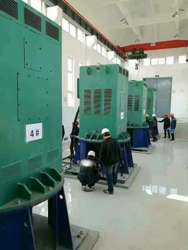 Y4505-6某污水处理厂使用我厂的立式高压电机安装现场
