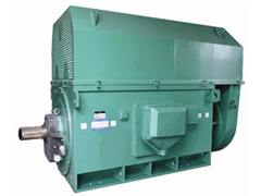 Y4505-6Y系列6KV高压电机