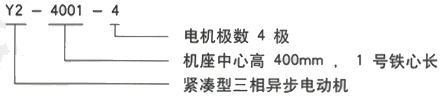 YR系列(H355-1000)高压Y4505-6三相异步电机西安西玛电机型号说明